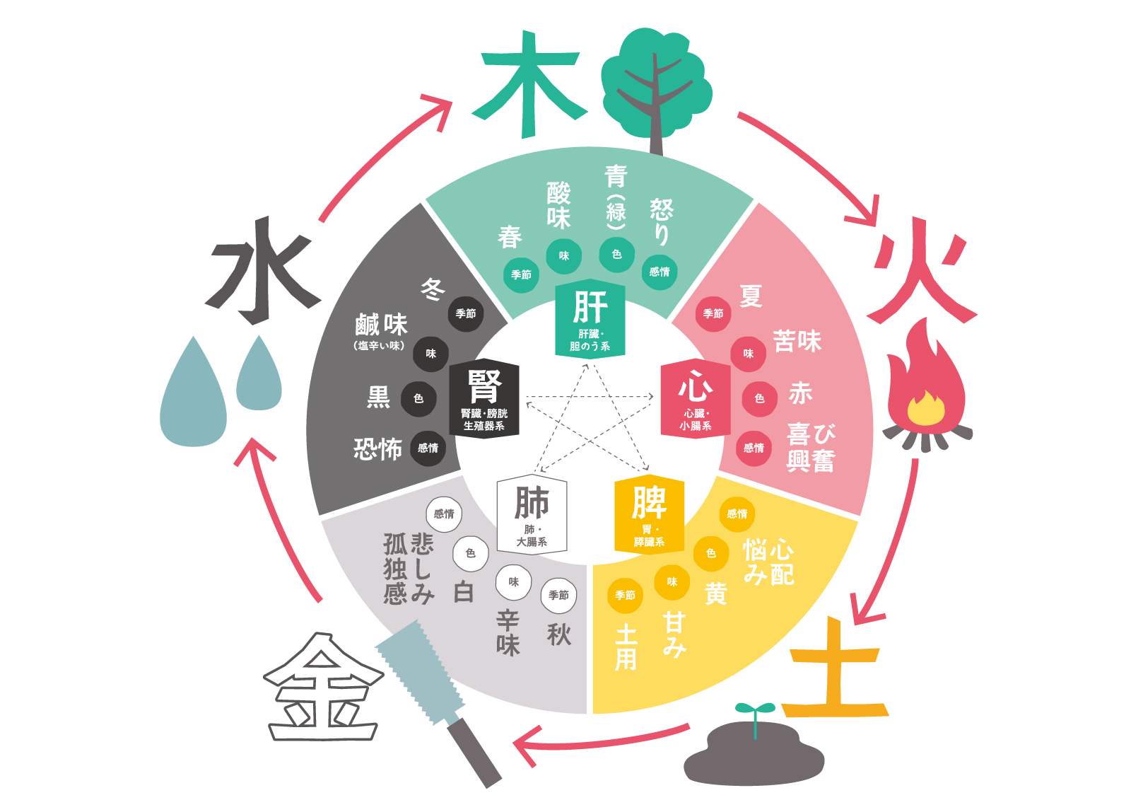 東洋医学（中医学）