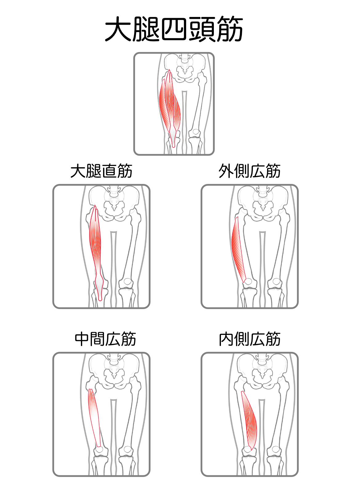 ブログイメージ