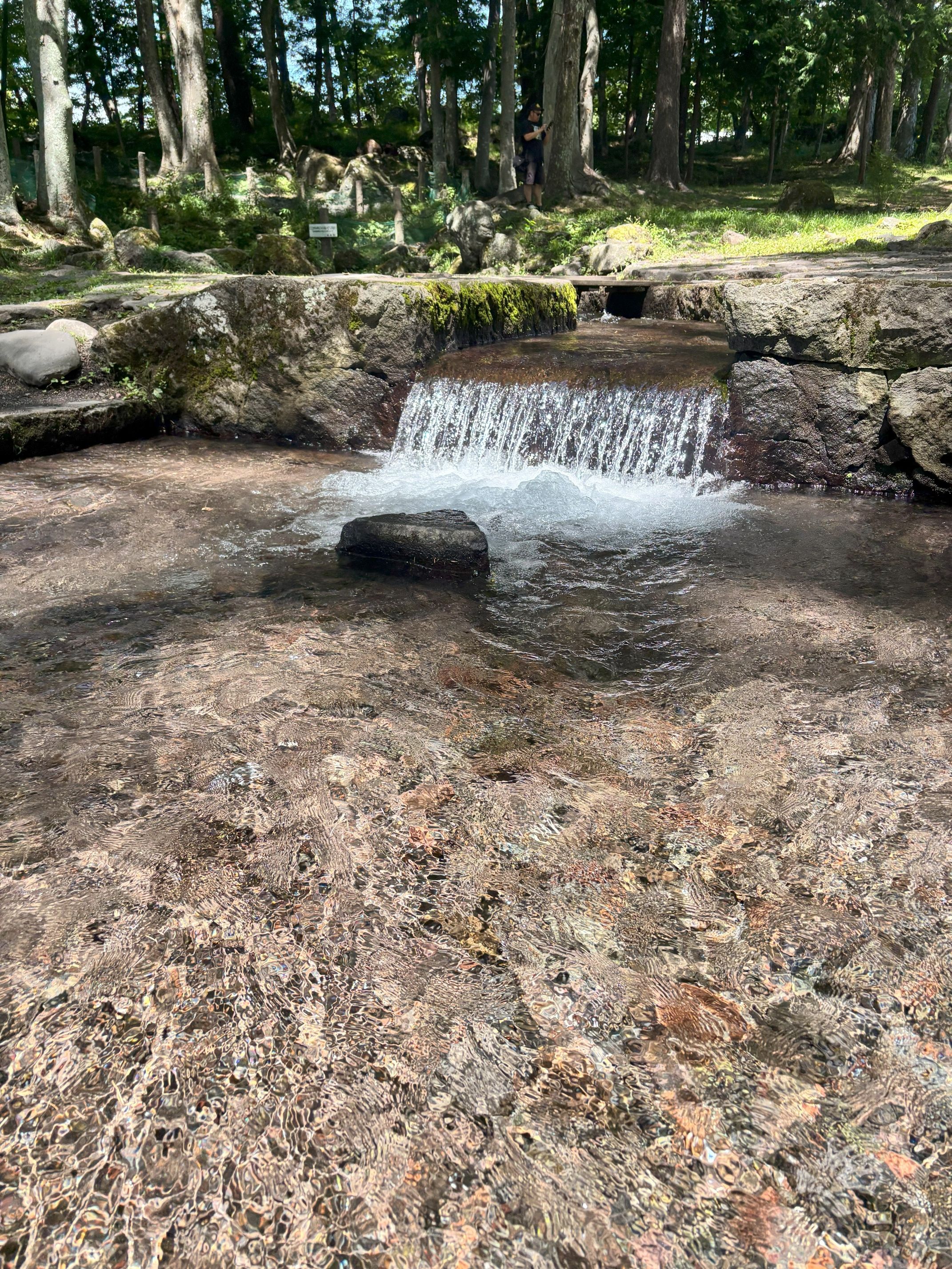 ブログイメージ